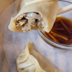 Pork Dumpling
